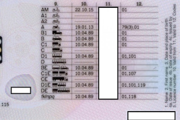 Driving Licence-Category D1 and D1+E